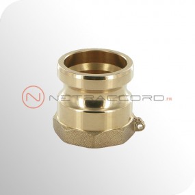 Adapteur type A femelle NPT - Bronze