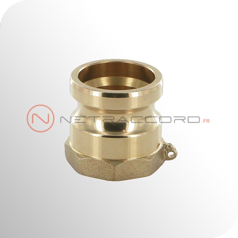 Adapteur type A femelle NPT - Bronze