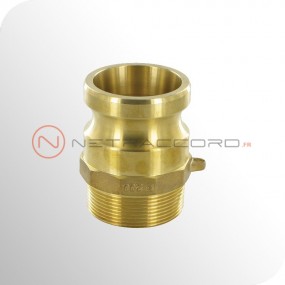 Adapteur type F mâle NPT - Bronze